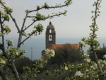 Moneglia - Chiesa di San Lorenzo
[ 156 KB ]